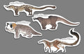 AOM Acroischid Sticker Bundle