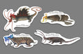AOM Radigeneian Sticker Bundle